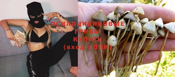 каннабис Горно-Алтайск