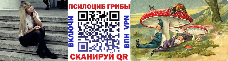 Галлюциногенные грибы MAGIC MUSHROOMS  где найти наркотики  Западная Двина 